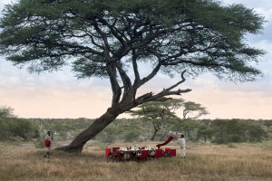 &Beyond Serengeti Under Canvas: Tanzania
