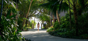 Baros Island Resort, Maldives