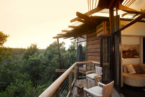 Tsala Treetop Lodge, South Africa
