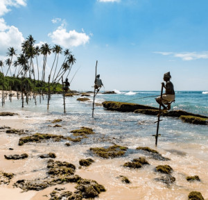 Sri Lanka:  An Adventure Like No Other