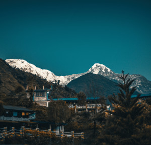  Annapurna Base Camp Trek