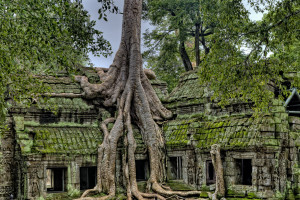 Ultimate Cambodia Adventure 