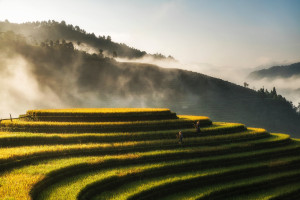 The Mystical Beauty of Northern & Central Vietnam